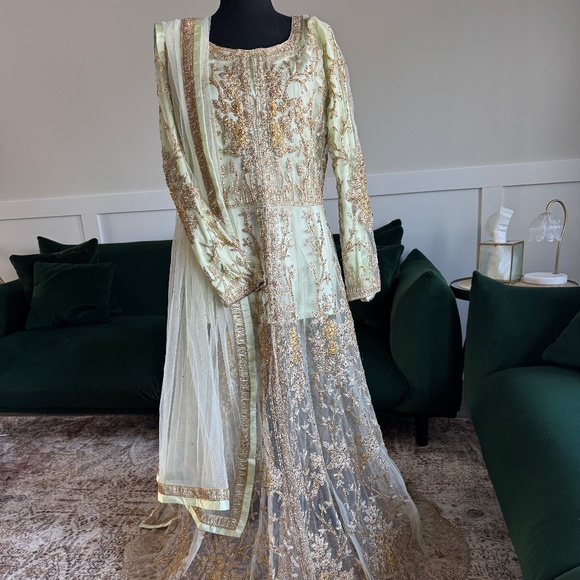 Light Green Indian Net Gown Overlay - Picture 4 of 9